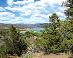 Harvey Gap Views 
